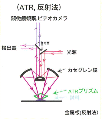 mcanac